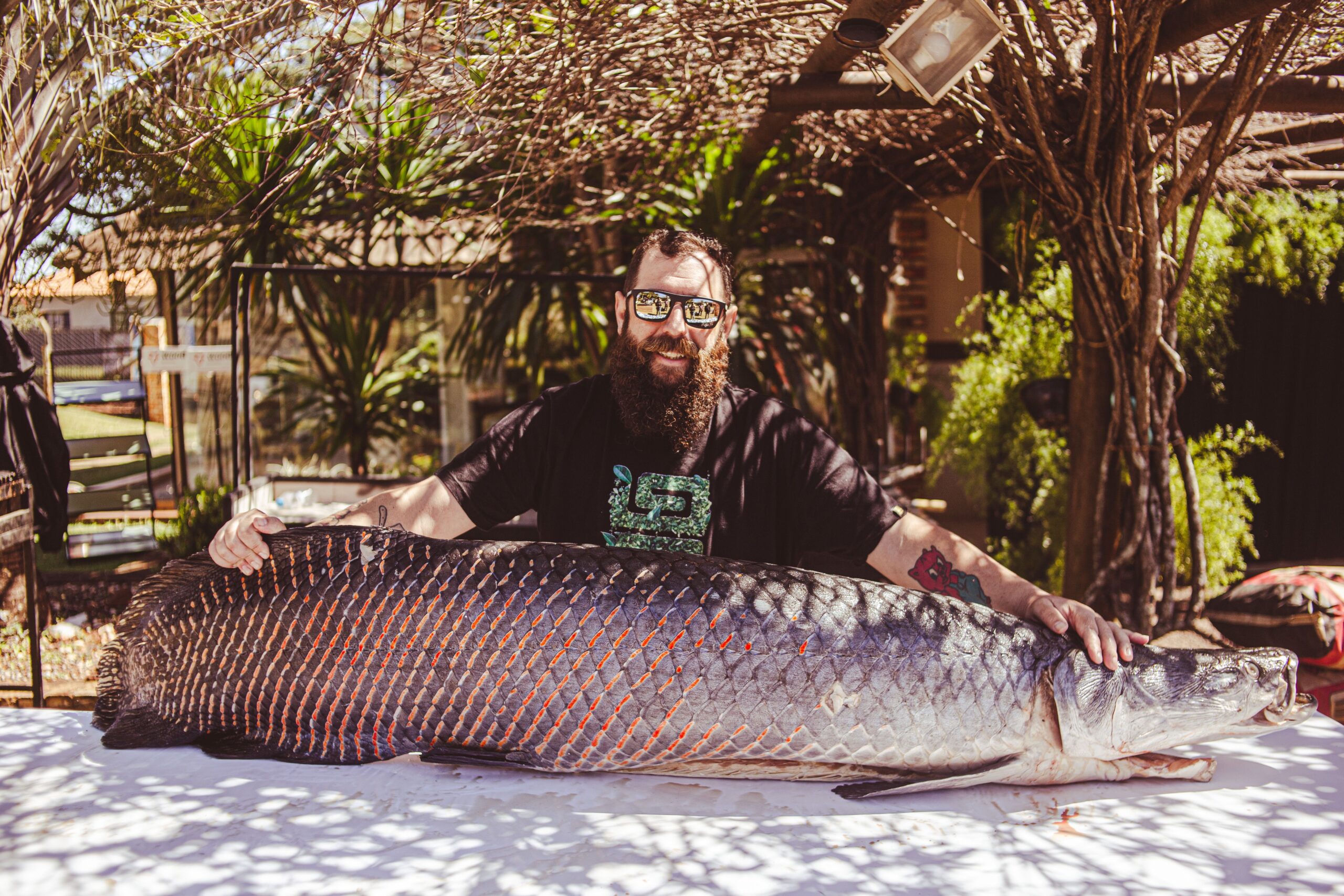 Man with beard outdoors displaying a giant fish on a table, captured in a sunlit setting.